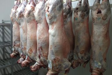 Vente directe de viande d'agneau à Chambéry